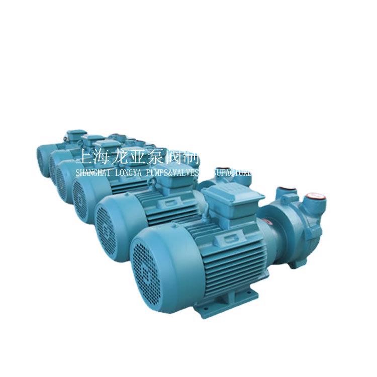 上海供应批发SZ-2（III）循环水真空泵