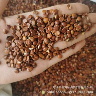 新鲜500g新货散装批发干货理枣仁货生货现货