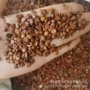 散装新鲜500g干货生货