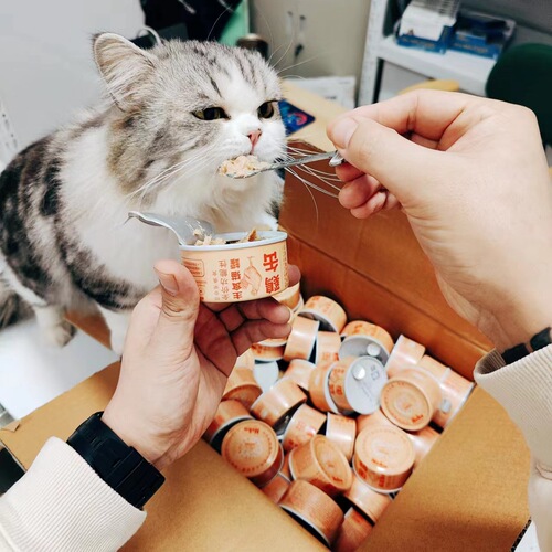 Neku Cat Food for Kittens - Hyaluronic Acid Main Meal in Cans - 6 Pack - Cat Beauty & Hydration Food - Not Snack Cans