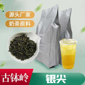奶茶店专用茉莉绿茶500g袋装冰绿奶绿茉莉水果茶水吧用茶厂家批发