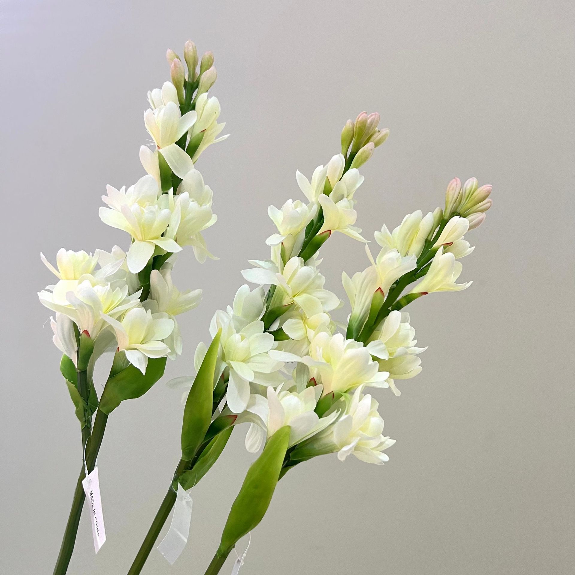 WeChat picture_20240613163129.jpg