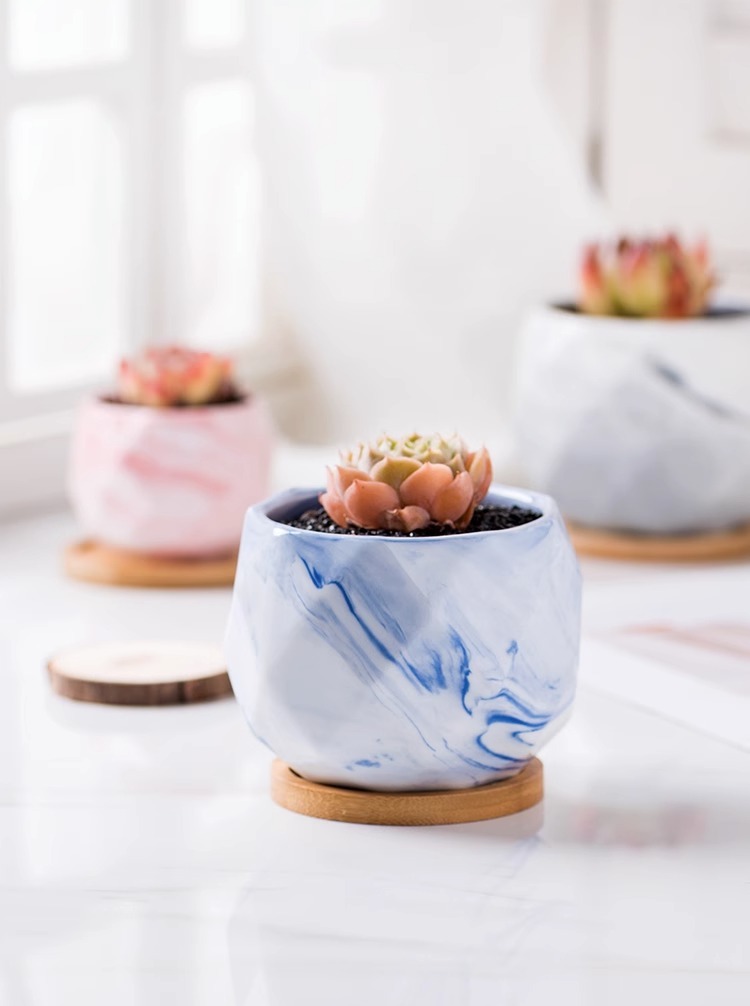 221a69b9-a064-4f9c-9c49-9fc1a2f7af9f.jpe