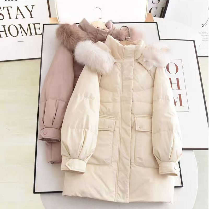 11 (1).jpg?x-oss-process=image/format,png