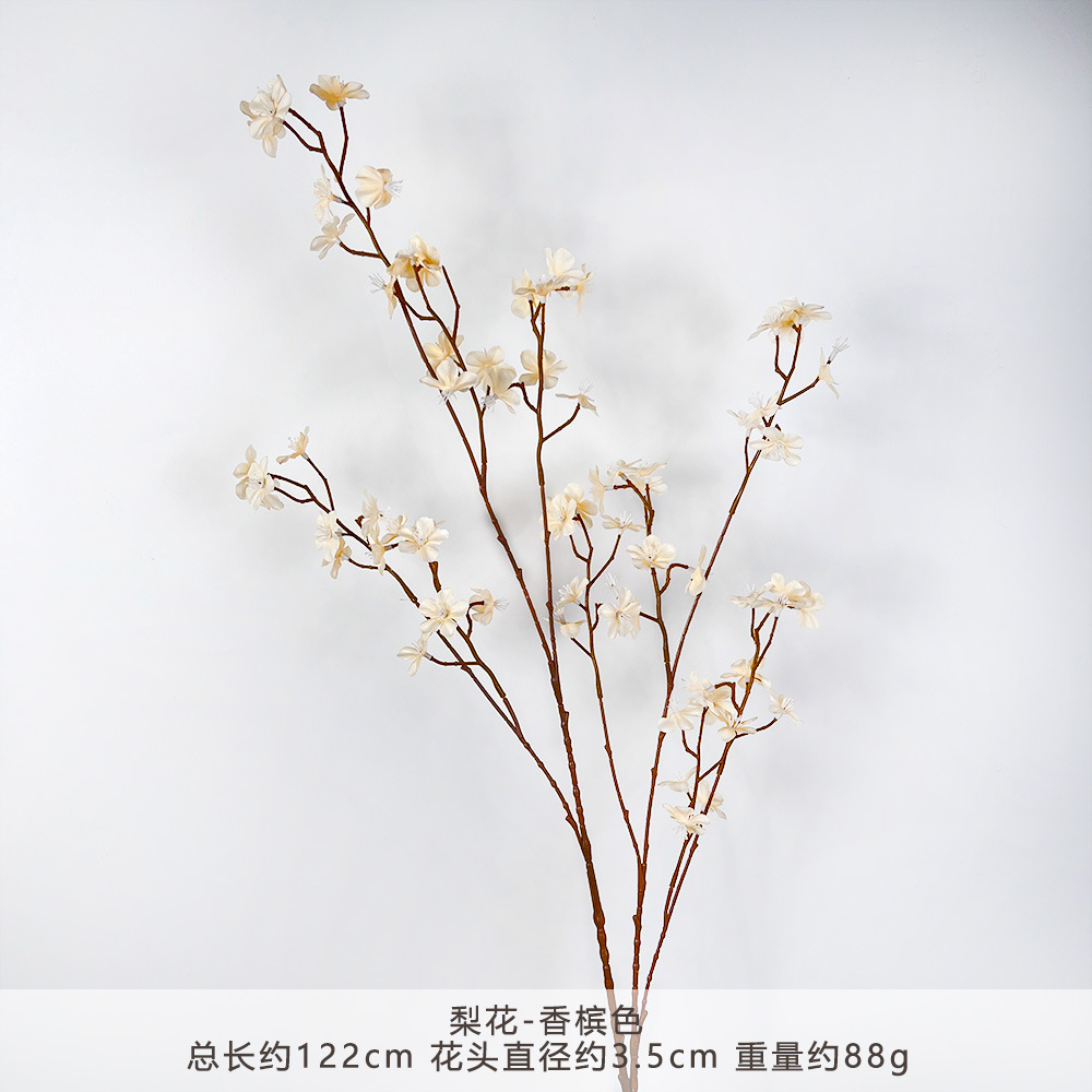 MJ-梨花-香槟