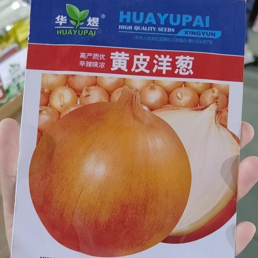 批发黄皮洋葱种子黄皮洋葱种籽苗黄色圆葱秋季洋葱籽四季蔬菜种孑