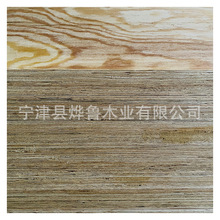 ���~ľ�����Ӱ�r�� ��ľ��Ѭ����S�����l ��ϵϑc��0324