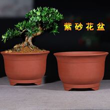 花盆大号特大号大口径陶土紫砂盆景陶瓷代发独立站一件一件代发热