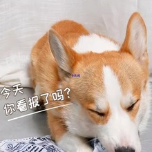 ������߰l푼������˽␞��ҧĥ���»�������Ȯ������Ʒ