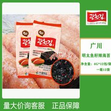 整箱韩国进口广川明太鱼籽味海苔4g*12包即食辣味香脆调味烤紫菜