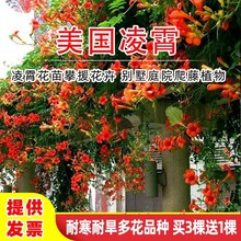 �ͺ�������������ֲ���ļ��_���ܴ���Gֲ����ͥԺ�̨��������