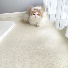 米白纯色地毯短绒宝宝拍照背景布摄影直播卧室客厅地垫房包邮批发