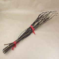 東南桃枝鎮宅家用客廳插花瓶寶寶壓驚嬰兒啼哭防做噩夢走夜路護榕