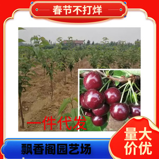 һ�����l����ӆُ�����������������Ӱ������ҙ��ҾG����ռ����