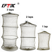 FTK�~�o����Ȧ���z��߅�O�W�������ۯB���ں����p�������~�\�羳