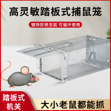 ������������һ�C�˜�������҃ȸ�Ч�\�Aץ��׽ȫ�Ԅӳ��������