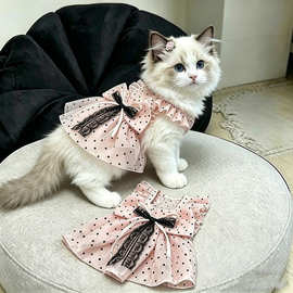 透气防晒公主裙布偶猫金渐层橘猫透气连衣裙猫咪衣服夏季新款波点