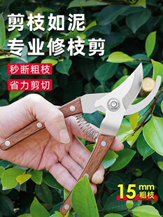 ������֦�������b���P䓼��È@ˇ�����؏���֦����֦������ˇ����