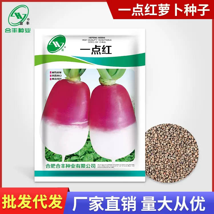 一点红萝卜种子40g红皮白心萝卜种籽秋冬耐寒杂交罗卜籽种孑批发