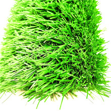 �˹���̺�ݸ��ܶȿ����⾀ ����ƺ