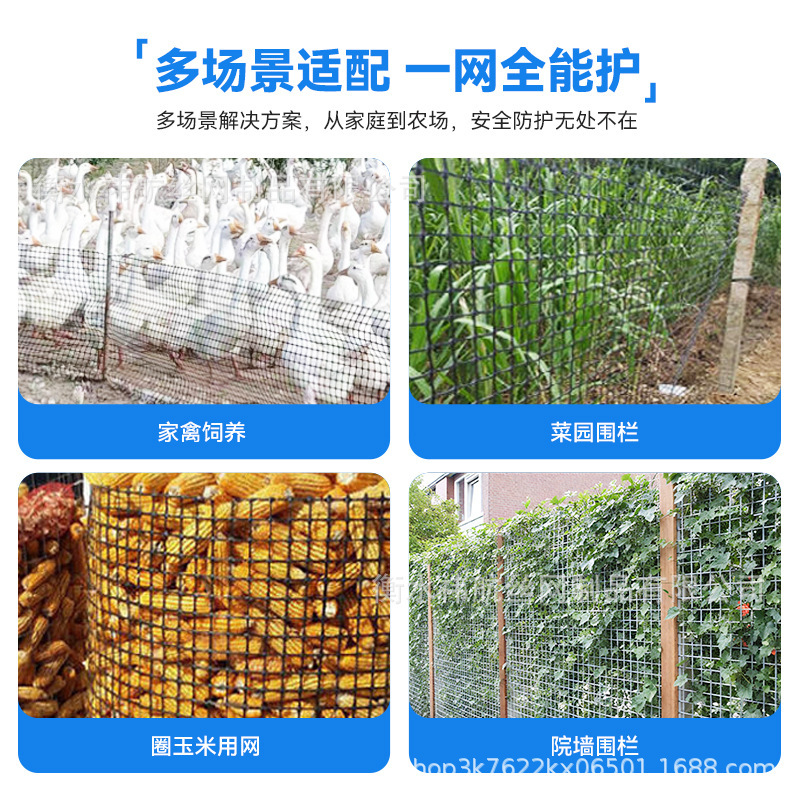 养鸡养鸭网围栏网鱼塘防护网方格土工格栅圈玉米塑料网果园隔离网|undefined