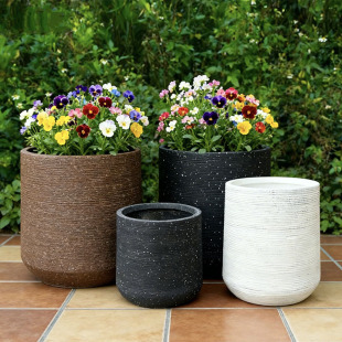 ���Լy��С�������l �k�����Gֲ���⻨�� ���Q�����Vˮ���̈�����