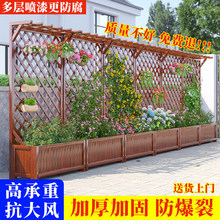 ����ľ���ܑ���ͥԺ�̨�Nֲ��W�����ټܸ���ͥԺ���ڻ����b�