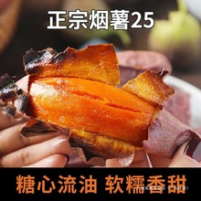 烟薯25号5斤蜜薯红薯新鲜农家自种番地瓜沙地超糖心甜红2斤