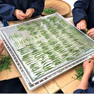 2025�²�̫ƽ���ɢ�b���l�����Sɽ�G�����ֹ���Ⲽ����~����