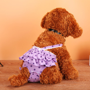 Amazon Summer Explosions Teddy Fadou Bomei Pet Dog Polka Dot Slip Skirt Outdoor Travel Physio Pants