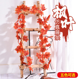����t���~�ٗl����ֲ���ړ��̨���{�ܵ��bٻ������٘��~�p�@