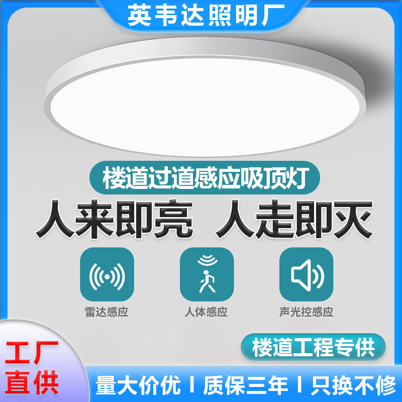 Human Body Sensor Ceiling Light, Corridor Light, Infrared Smart Sensor Light, Factory Direct Supply Human Body Sensor Ceiling Light, Corridor Light, Infrared Smart Sensor Light, Factory Direct Supply