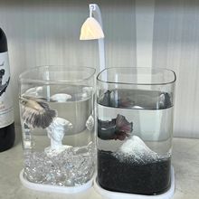 鱼缸斗鱼超白小型玻璃缸客厅创意桌面摆件生态造景观赏热卖批发