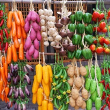 ˮ���߲˒촮�t�����������װ�����ģ�������r�Ҙ���b�Ʒ