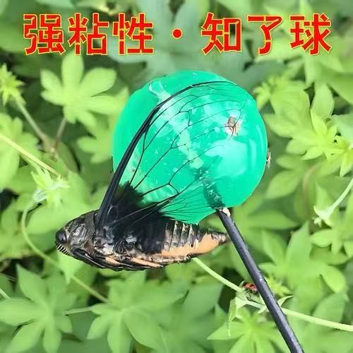 Sticky Cicada Ball Sticky Ball Special Sticky Ball Cicada Artifact Sticky Cicada Tool Vent Ball Children's Toy Summer