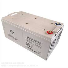 ˫������6-GFM-250 12V250AH����UPS��Դ���� EPSֱ����