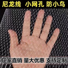 �A�Q�߲�ˮ�����ҹ��@�r�������W������B�W�z�W���o�ּΌ������B