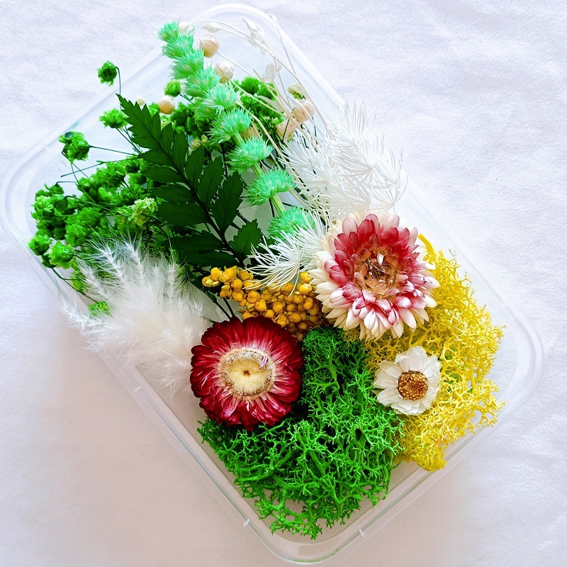 微信图片_202212181049303