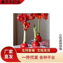 ��피tϞ���ذ�N���M��Ϟ��o��ˮ���B�o���˺��B������Y��