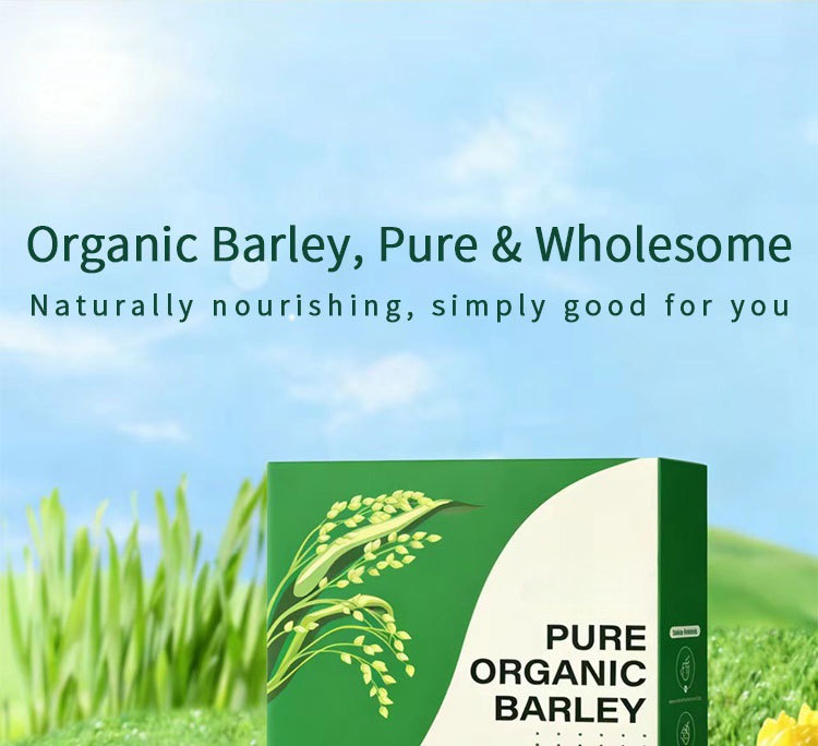 Barley Grass Powder Da Mai Miao Fen 45g Pure Barley Grass Powder for Smoothies and Drinks overview