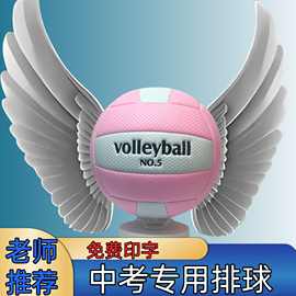 厂家批发PVC机缝排球5号中考学生比赛专用排球软式气排球小学生