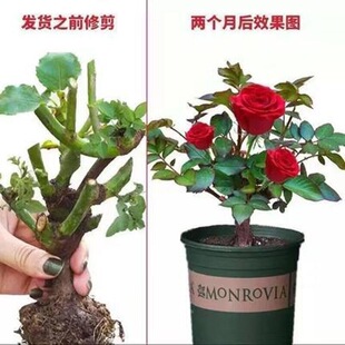 �����ļ����l�¼�������õ�廨��õ���Nޱ�N���¼���G���Ϙ�����