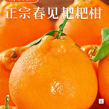 �Ĵ���Ҋ�ҰҸ̕r�����rˮ�������������ڳ������10��������θ�