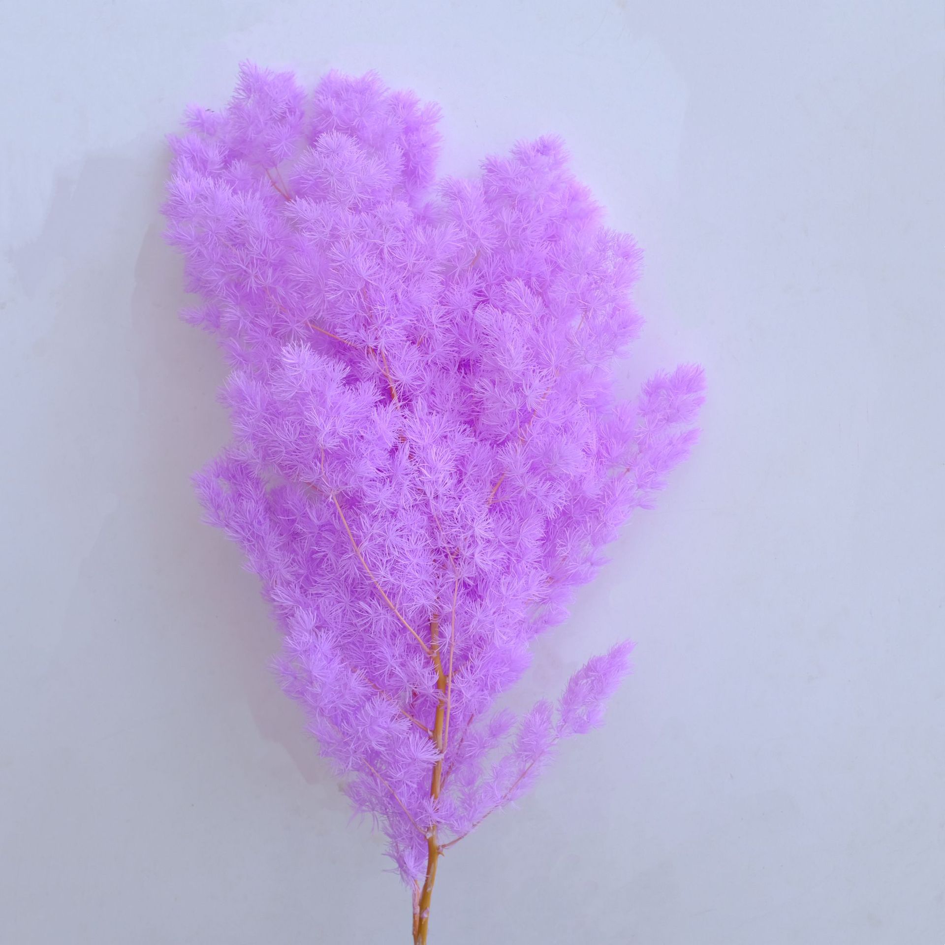 Taro purple