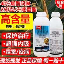 ϩ׾ϩrș˪ù߲ܛ߲ș2000˰]