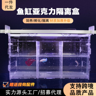 Fish Tank Isolation Box Acrylic Tortoise Tropical Arhat Parrot Fish Guppy Seedling Incubation and Reproduction Box Thickened
