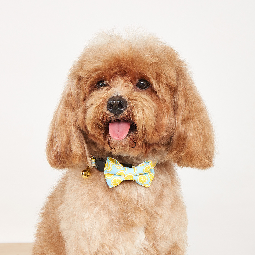 Fabricante de liquidación de bajo precio spot transfronterizo mascota collar gatos campanas doradas collar de corbata gatos