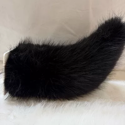 Tail for Electric Vehicles and — Car ornaments - black-voice-control-remote-control-luminous-model