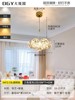 Ceiling lamp for living room, starry sky, modern Scandinavian glossy creative lights for bedroom