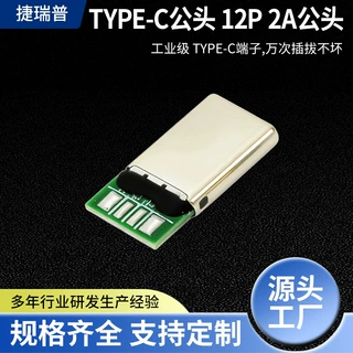 厂家type c公头12P2A公头灰白色镀镍接插件4芯连接器主板端子